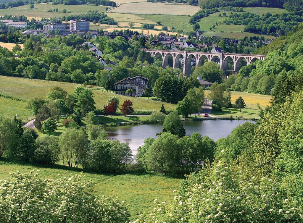 Komfort-Fewo Am Stryckteich Willingen  Exteriör bild
