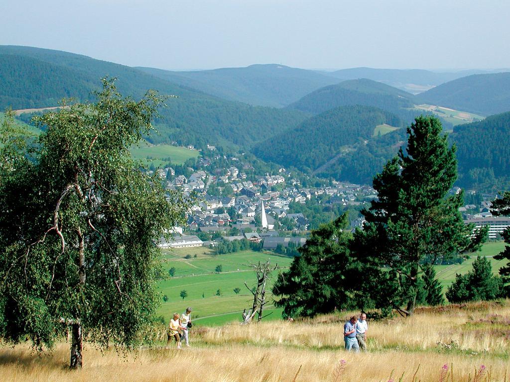Komfort-Fewo Am Stryckteich Willingen  Exteriör bild